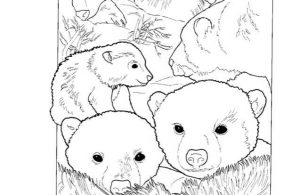 Mewarnai Gambar Keluarga Beruang Kutub