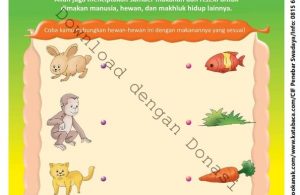 Workbook Brain Games Rukun Iman, Allah Pemberi Rezeki Kepada Makhluknya (7)