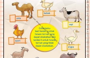 Workbook Brain Games Rukun Islam, Zakat Hewan Ternak (29)