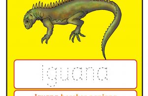 Worksheets Alfabet Ii Iguana